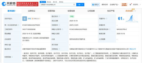 科大訊飛在合肥成立潮汐力科技公司，拓展信息系統集成服務新篇章